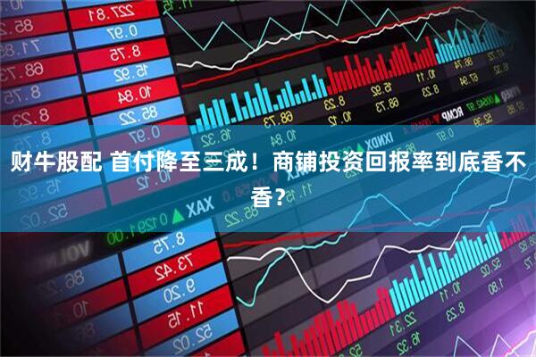 财牛股配 首付降至三成！商铺投资回报率到底香不香？