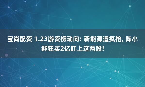 宝尚配资 1.23游资榜动向: 新能源遭疯抢, 陈小群狂买2亿盯上这两股!